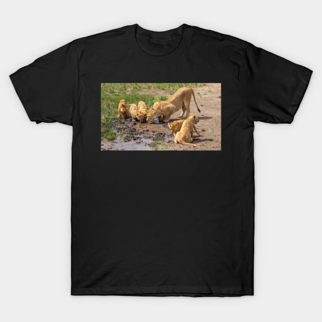 Lions Drinking, Ngorongoro Concession Tanzania T-Shirt by AndrewGoodall